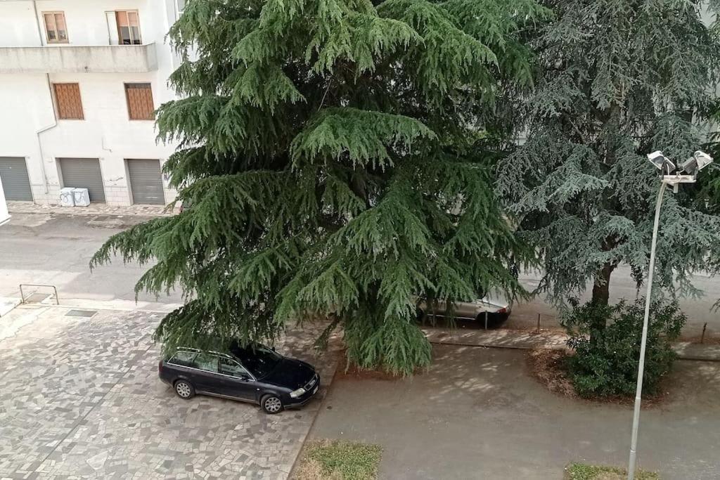 Appartamento Terrazza Bella Vista Чистерніно Екстер'єр фото